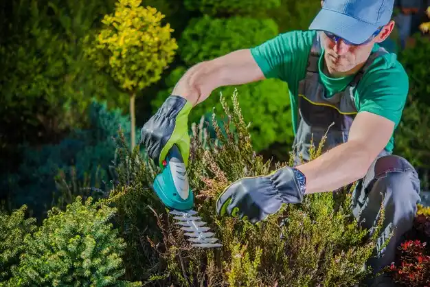 landscaping services Baldwin Harbor